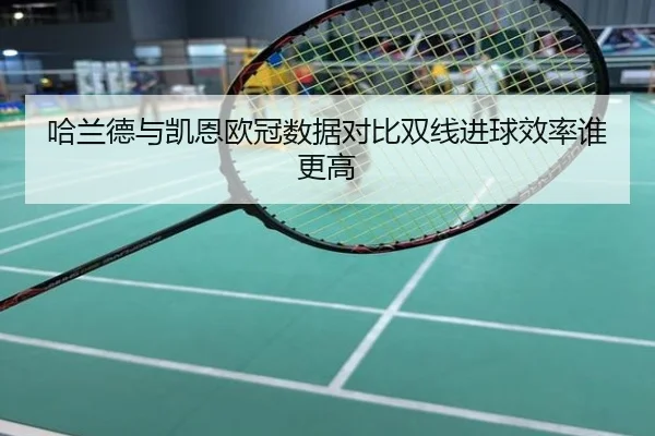 哈兰德与凯恩欧冠数据对比双线进球效率谁更高